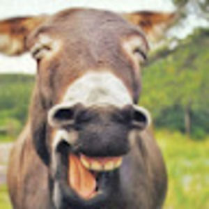 Meet your Posher, Brenna